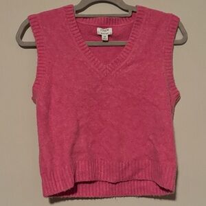 GUC J. Crew Vibrant Pink V-Neck Sweater Vest